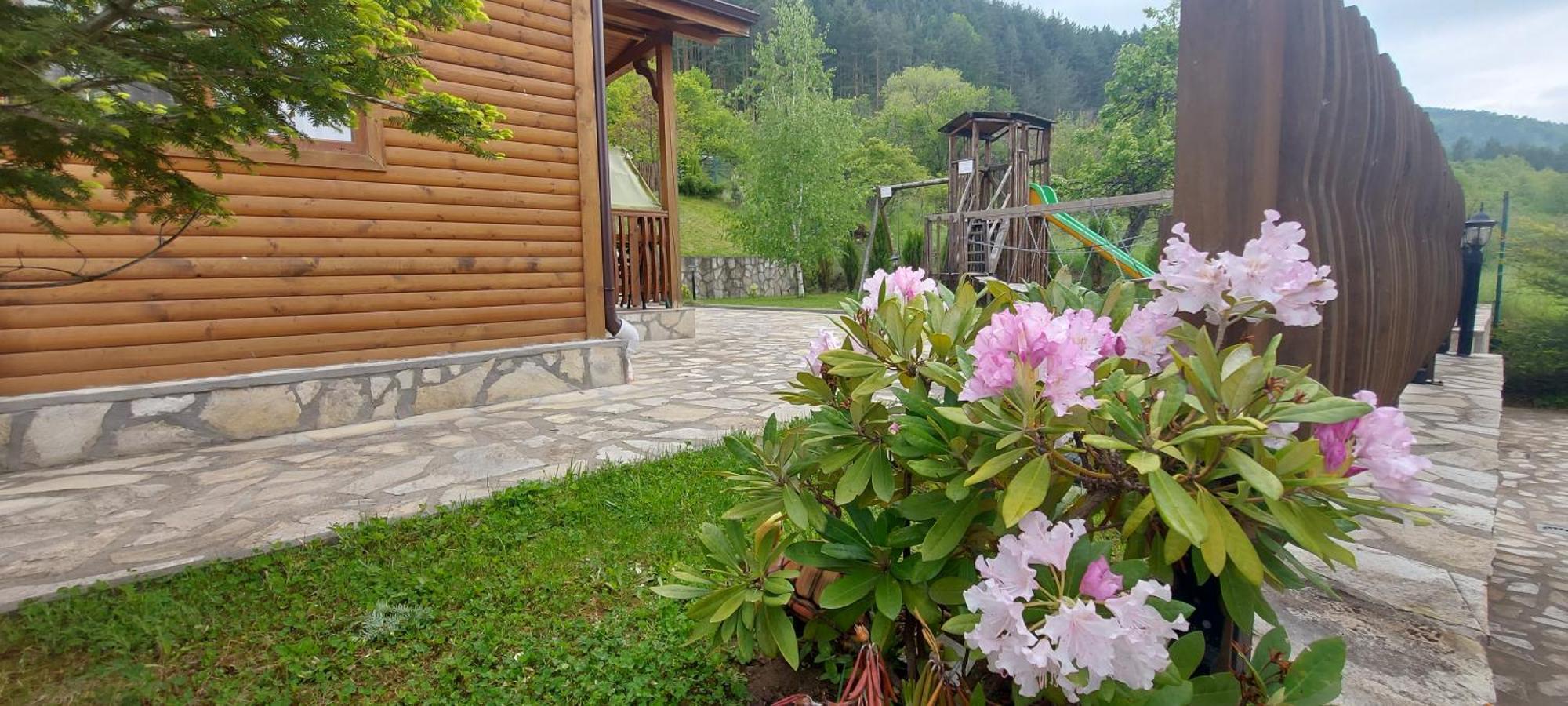 Mini Complex Rilski Terasi Sapareva Banya ภายนอก รูปภาพ