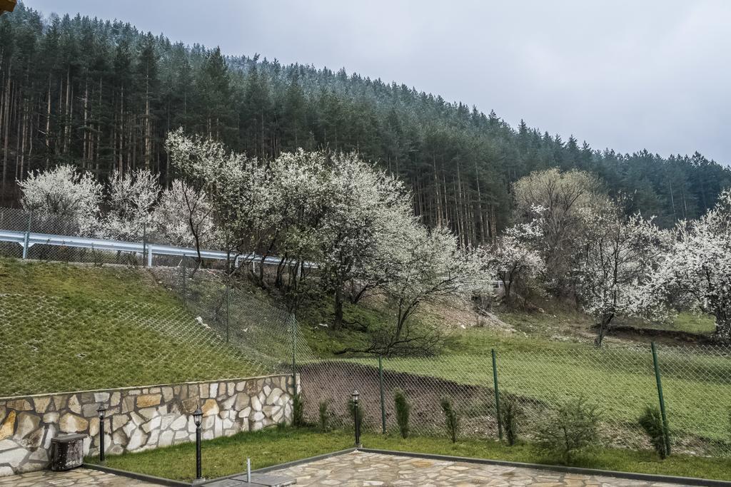 Mini Complex Rilski Terasi Sapareva Banya ภายนอก รูปภาพ
